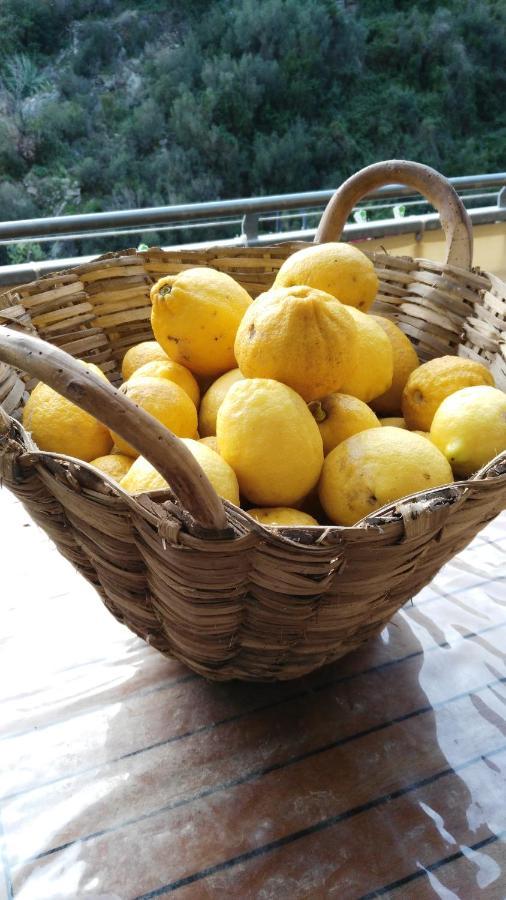 App Via Colombo 99 Ca' Dai Suchei Apartment Riomaggiore Ngoại thất bức ảnh